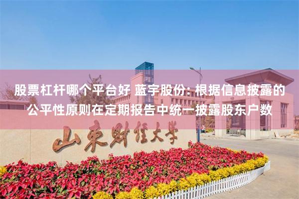 股票杠杆哪个平台好 蓝宇股份: 根据信息披露的公平性原则在定期报告中统一披露股东户数