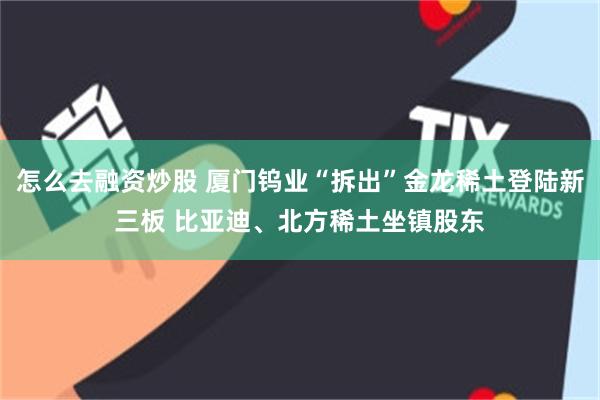 怎么去融资炒股 厦门钨业“拆出”金龙稀土登陆新三板 比亚迪、北方稀土坐镇股东