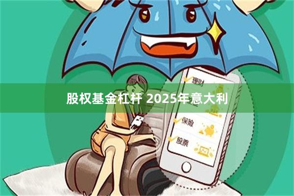 股权基金杠杆 2025年意大利