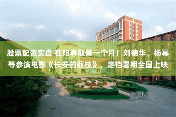 股票配资实盘 在阳春取景一个月！刘德华、杨幂等参演电影《长安的荔枝》，定档暑期全国上映