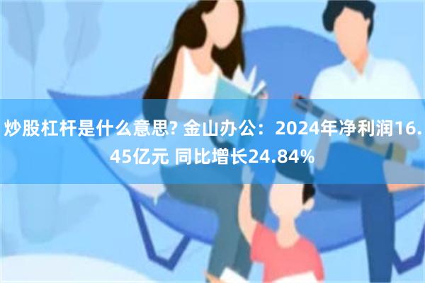 炒股杠杆是什么意思? 金山办公：2024年净利润16.45亿元 同比增长24.84%