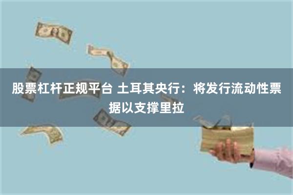 股票杠杆正规平台 土耳其央行：将发行流动性票据以支撑里拉
