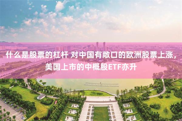 什么是股票的杠杆 对中国有敞口的欧洲股票上涨，美国上市的中概股ETF亦升