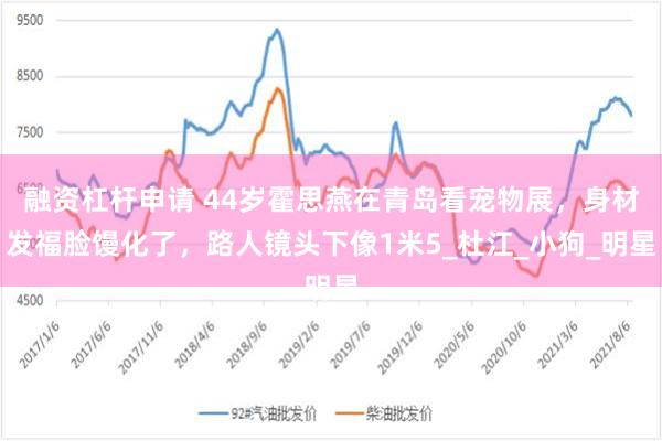 融资杠杆申请 44岁霍思燕在青岛看宠物展，身材发福脸馒化了，路人镜头下像1米5_杜江_小狗_明星