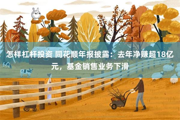 怎样杠杆投资 同花顺年报披露：去年净赚超18亿元，基金销售业务下滑