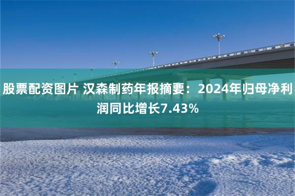 股票配资图片 汉森制药年报摘要：2024年归母净利润同比增长7.43%