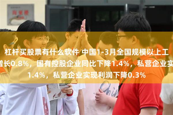 杠杆买股票有什么软件 中国1-3月全国规模以上工业企业利润同比增长0.8%，国有控股企业同比下降1.4%，私营企业实现利润下降0.3%