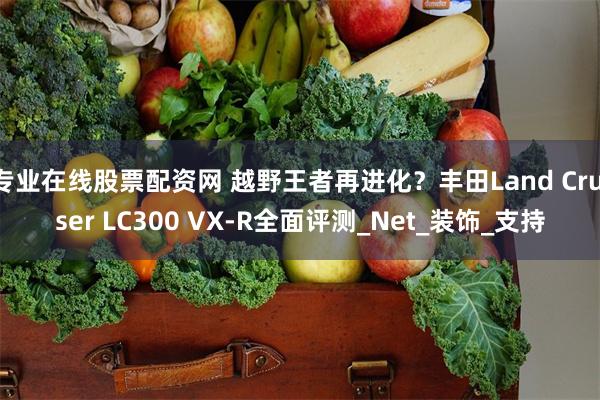专业在线股票配资网 越野王者再进化？丰田Land Cruiser LC300 VX-R全面评测_Net_装饰_支持