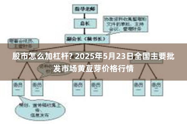 股市怎么加杠杆? 2025年5月23日全国主要批发市场黄豆芽价格行情