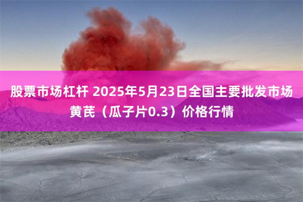 股票市场杠杆 2025年5月23日全国主要批发市场黄芪（瓜子片0.3）价格行情
