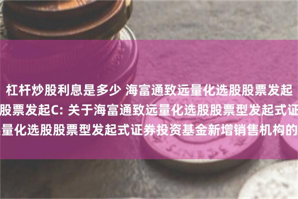 杠杆炒股利息是多少 海富通致远量化选股股票发起A,海富通致远量化选股股票发起C: 关于海富通致远量化选股股票型发起式证券投资基金新增销售机构的公告