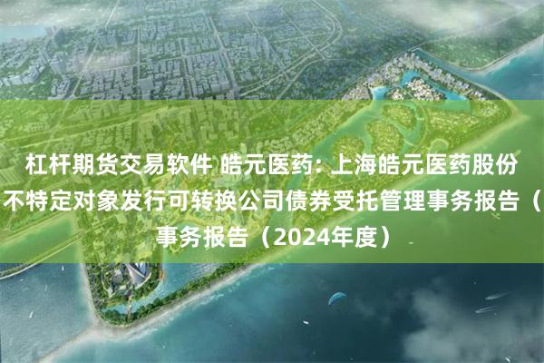 杠杆期货交易软件 皓元医药: 上海皓元医药股份有限公司向不特定对象发行可转换公司债券受托管理事务报告(2024年度)