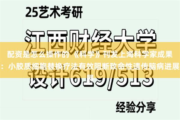 配资是怎么操作的 《科学》刊发上海科学家成果：小胶质细胞替换疗法有效阻断致命性遗传脑病进展