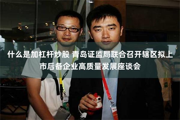 什么是加杠杆炒股 青岛证监局联合召开辖区拟上市后备企业高质量发展座谈会