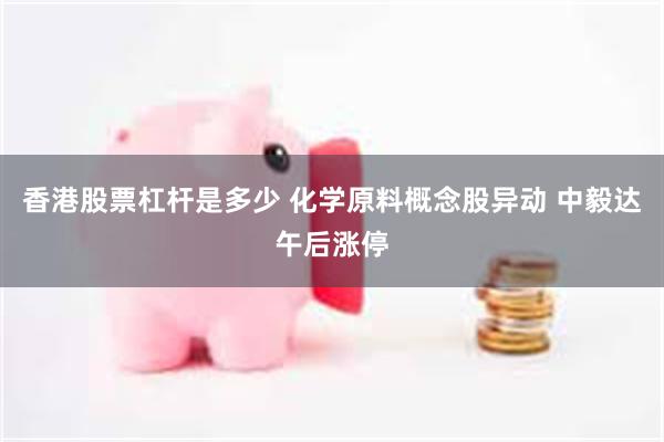 香港股票杠杆是多少 化学原料概念股异动 中毅达午后涨停
