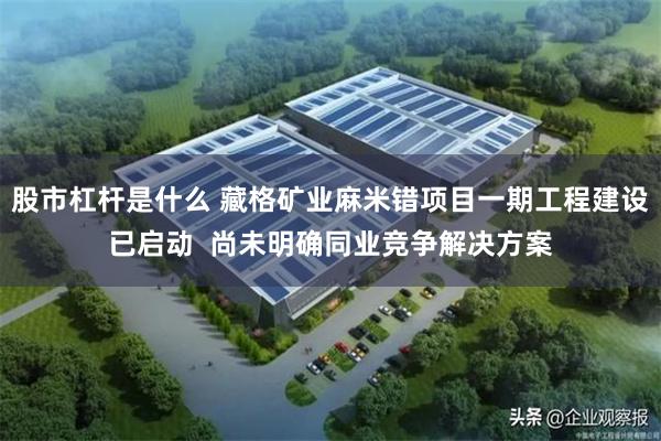 股市杠杆是什么 藏格矿业麻米错项目一期工程建设已启动  尚未明确同业竞争解决方案