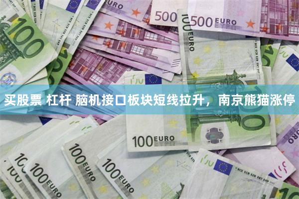 买股票 杠杆 脑机接口板块短线拉升，南京熊猫涨停