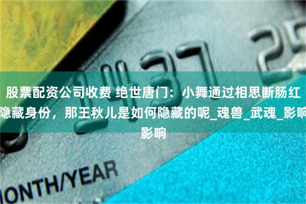 股票配资公司收费 绝世唐门：小舞通过相思断肠红隐藏身份，那王秋儿是如何隐藏的呢_魂兽_武魂_影响
