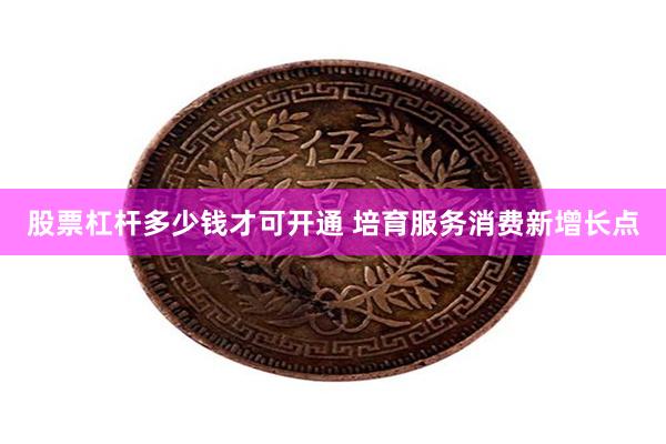 股票杠杆多少钱才可开通 培育服务消费新增长点
