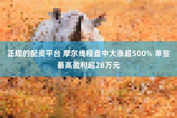 正规的配资平台 摩尔线程盘中大涨超500% 单签最高盈利超28万元
