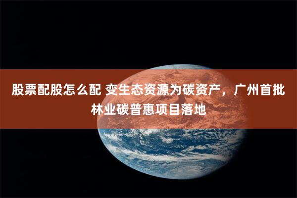 股票配股怎么配 变生态资源为碳资产，广州首批林业碳普惠项目落地