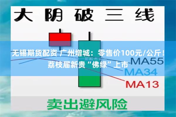 无锡期货配资 广州增城：零售价100元/公斤！荔枝届新贵“佛绿”上市