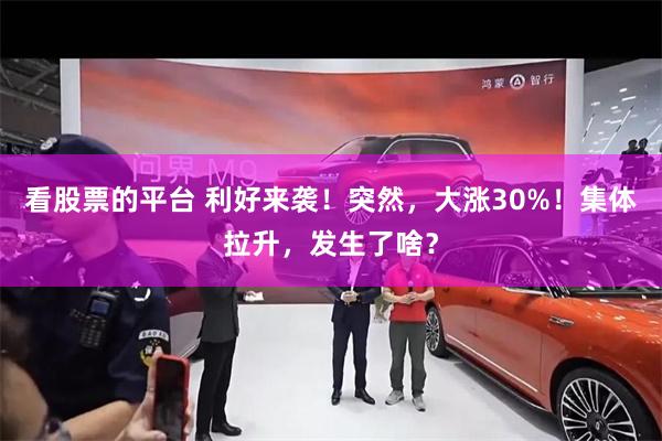 看股票的平台 利好来袭！突然，大涨30%！集体拉升，发生了啥？