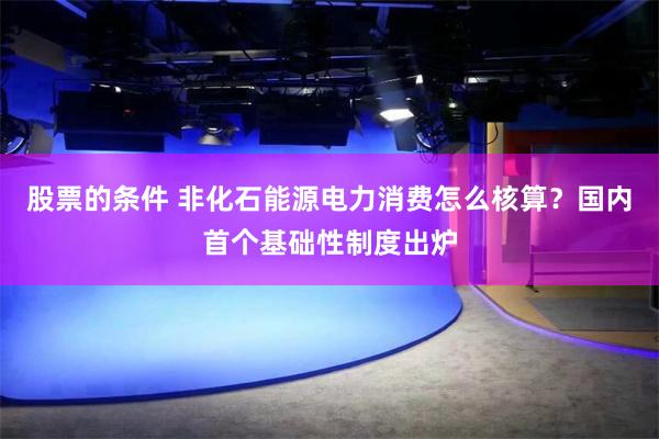 股票的条件 非化石能源电力消费怎么核算？国内首个基础性制度出炉