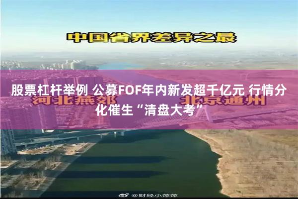 股票杠杆举例 公募FOF年内新发超千亿元 行情分化催生“清盘大考”