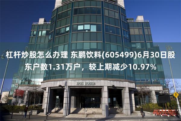 杠杆炒股怎么办理 东鹏饮料(605499)6月30日股东户数1.31万户，较上期减少10.97%