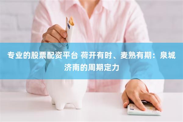 专业的股票配资平台 荷开有时、麦熟有期：泉城济南的周期定力