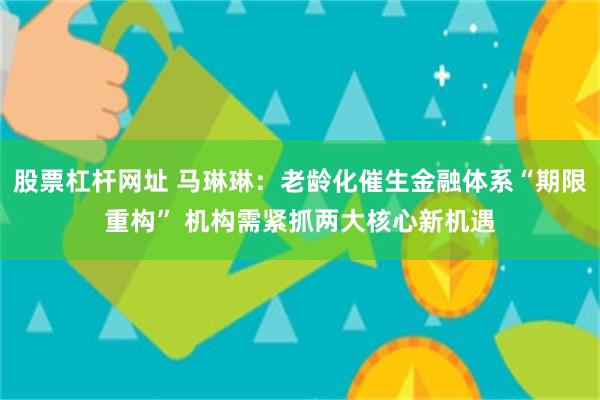 股票杠杆网址 马琳琳：老龄化催生金融体系“期限重构” 机构需紧抓两大核心新机遇