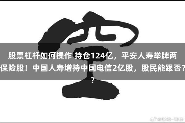 股票杠杆如何操作 持仓124亿，平安人寿举牌两保险股！中国人寿增持中国电信2亿股，股民能跟否？