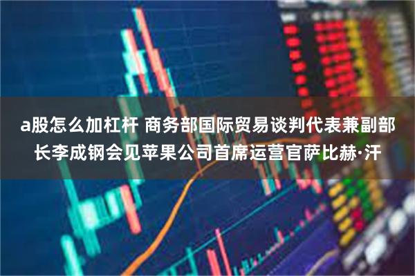 a股怎么加杠杆 商务部国际贸易谈判代表兼副部长李成钢会见苹果公司首席运营官萨比赫·汗
