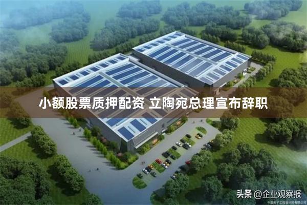 小额股票质押配资 立陶宛总理宣布辞职