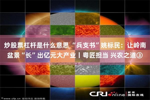 炒股票杠杆是什么意思 “兵支书”姚标民：让岭南盆景“长”出亿元大产业丨粤匠担当 兴农之道③