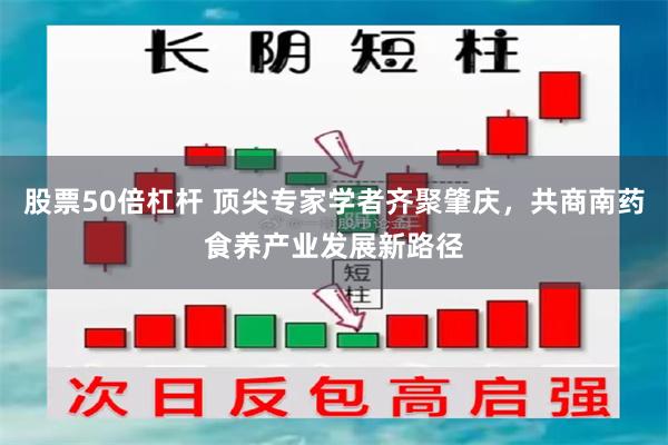 股票50倍杠杆 顶尖专家学者齐聚肇庆，共商南药食养产业发展新路径