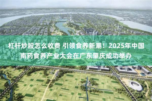 杠杆炒股怎么收费 引领食养新潮！2025年中国南药食养产业大会在广东肇庆成功举办