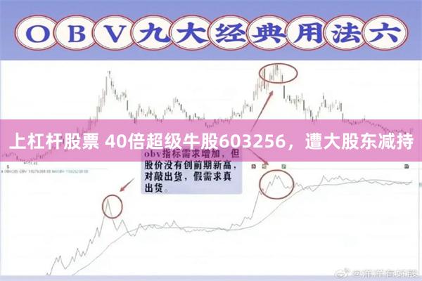 上杠杆股票 40倍超级牛股603256，遭大股东减持