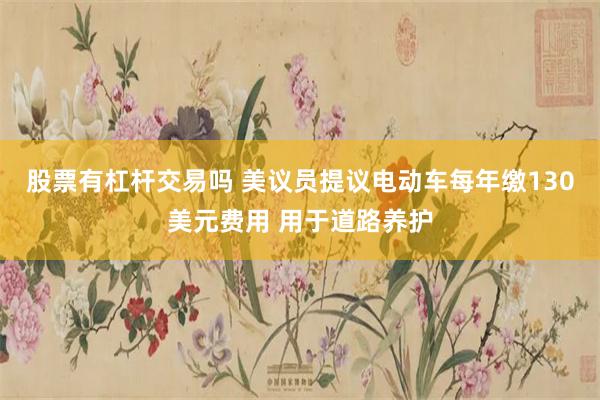 股票有杠杆交易吗 美议员提议电动车每年缴130美元费用 用于道路养护