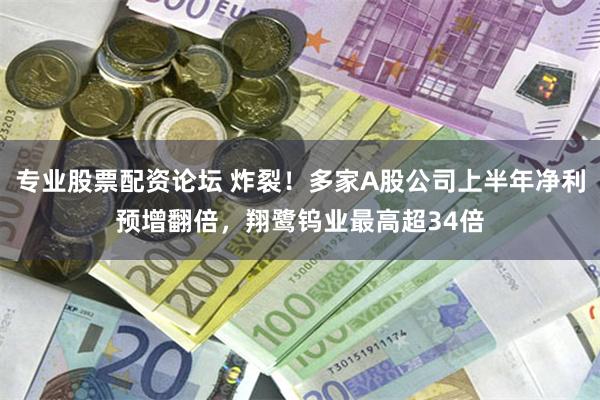 专业股票配资论坛 炸裂！多家A股公司上半年净利预增翻倍，翔鹭钨业最高超34倍