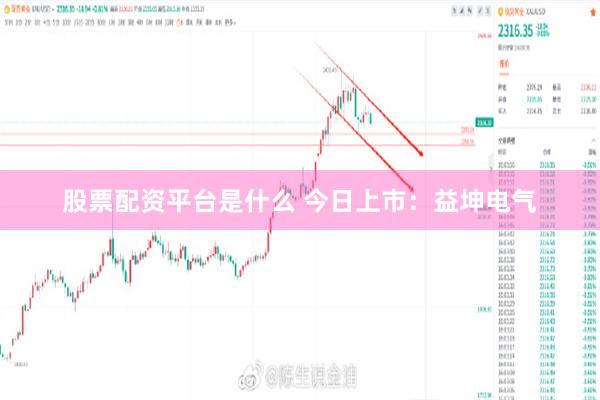 股票配资平台是什么 今日上市:益坤电气
