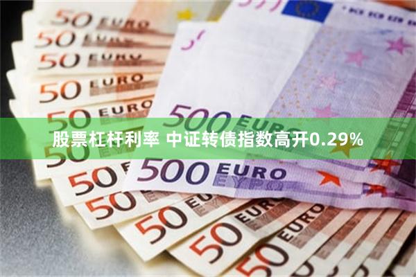 股票杠杆利率 中证转债指数高开0.29%