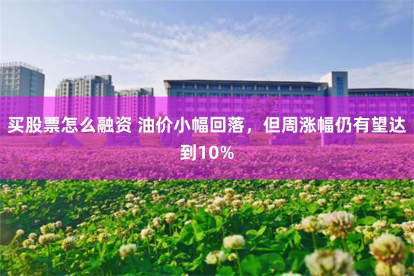 买股票怎么融资 油价小幅回落，但周涨幅仍有望达到10%
