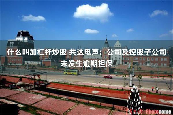 什么叫加杠杆炒股 共达电声：公司及控股子公司未发生逾期担保