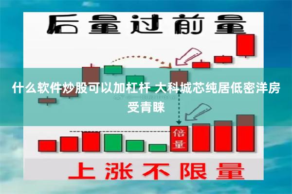 什么软件炒股可以加杠杆 大科城芯纯居低密洋房受青睐