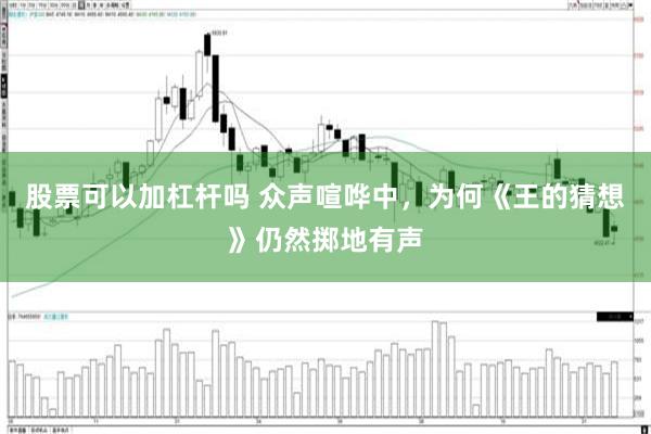 股票可以加杠杆吗 众声喧哗中，为何《王的猜想》仍然掷地有声