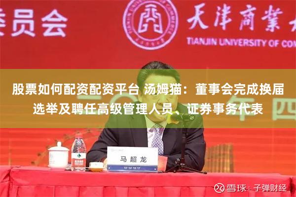 股票如何配资配资平台 汤姆猫：董事会完成换届选举及聘任高级管理人员、证券事务代表