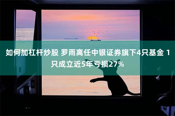 如何加杠杆炒股 罗雨离任中银证券旗下4只基金 1只成立近5年亏损27%