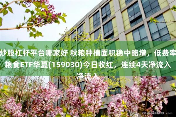 炒股杠杆平台哪家好 秋粮种植面积稳中略增，低费率粮食ETF华夏(159030)今日收红，连续4天净流入